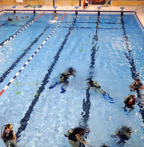 Cours de plongée dans une piscine